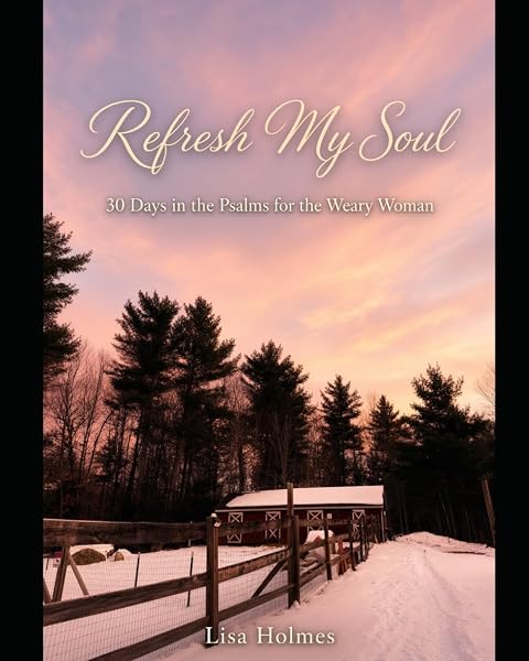 Cover of Refresh My Soul