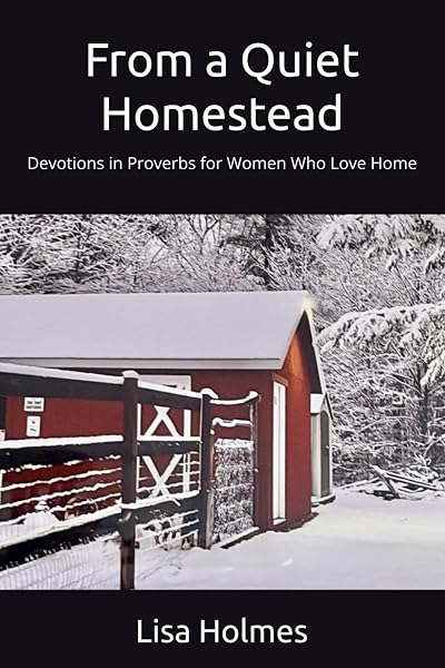 Cover of From a Quiet Homestead